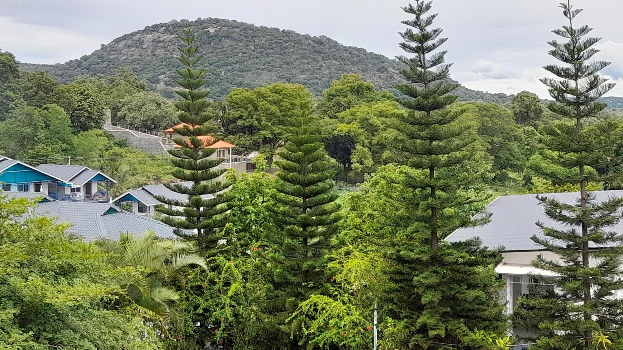 Mgm Whispering Wind'S Yelagiri Hotel ภายนอก รูปภาพ